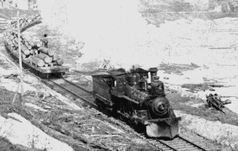 M&NE lumber train